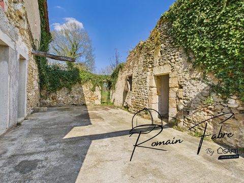 photo no. 10