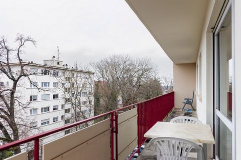 photo no. 5
