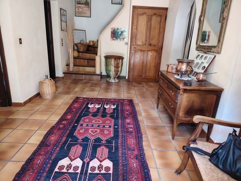 photo no. 19