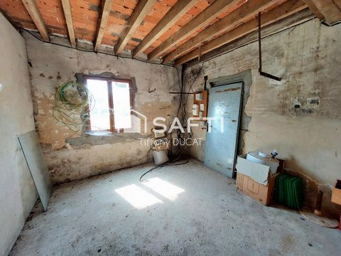 photo no. 15