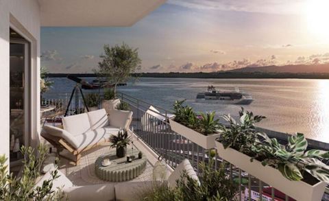 A VENDRE Studio en R+4 à Pointe à Pitre
