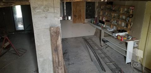 photo no. 4