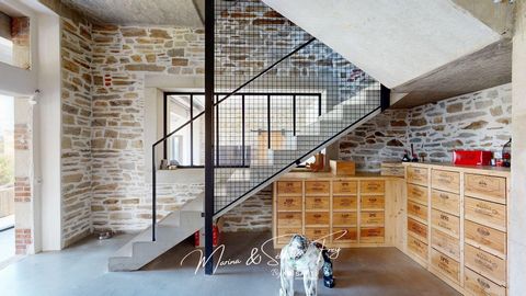 photo no. 9