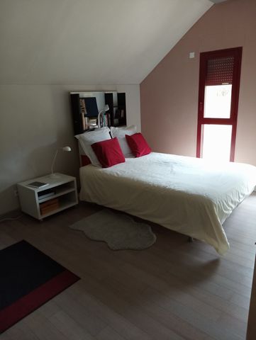 photo no. 19