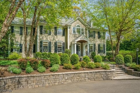 Live life where every day feels like a vacation getaway. Set on nearly one flat acre in the heart of Short Hills, this resort-style property blends effortless luxury with relaxed indoor-outdoor living. Lounge beside the in-ground pool with its tranqu...