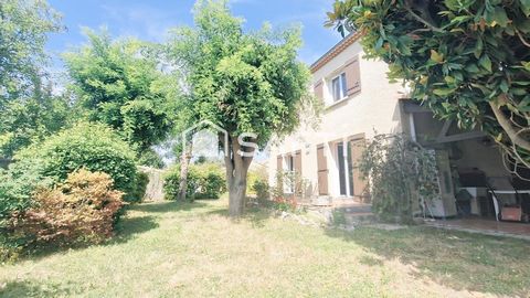 photo no. 11
