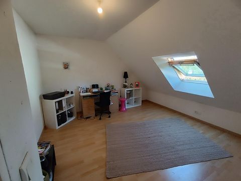 photo no. 6