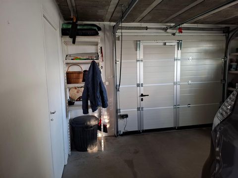photo no. 12