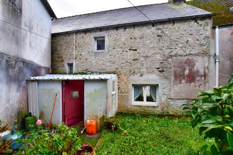 photo no. 2