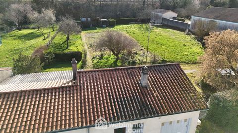 photo no. 13