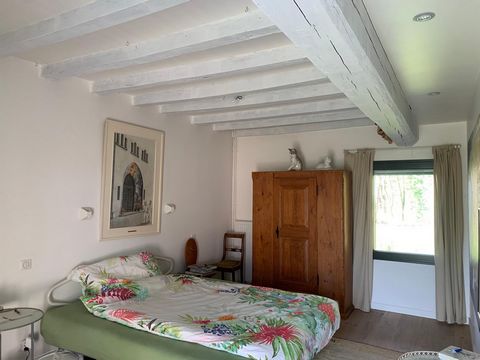 photo no. 10