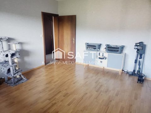 photo no. 12