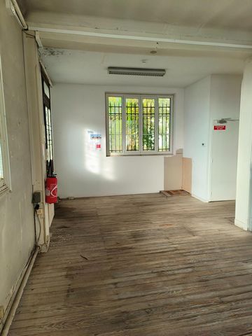 photo no. 9