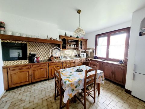 photo no. 2