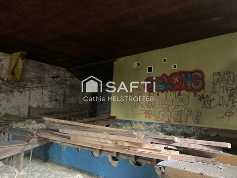 photo no. 2