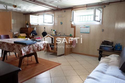 photo no. 5
