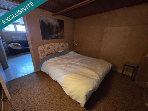 photo no. 11