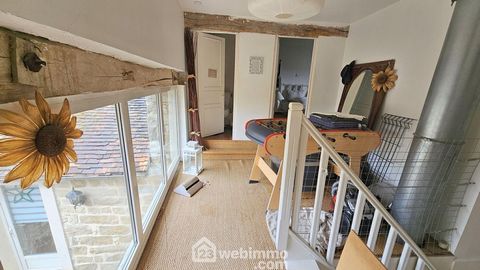 photo no. 12