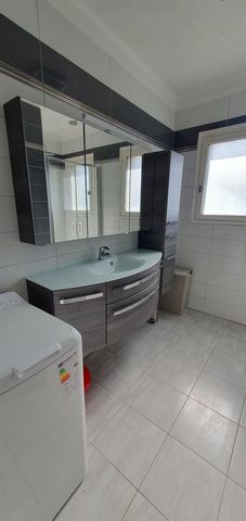 photo no. 6