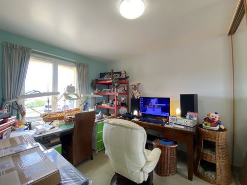 photo no. 11