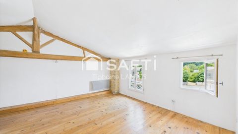 photo no. 6