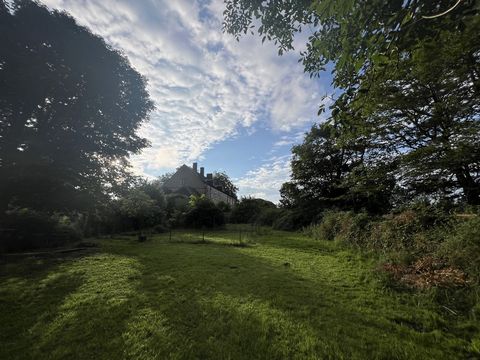 photo no. 15