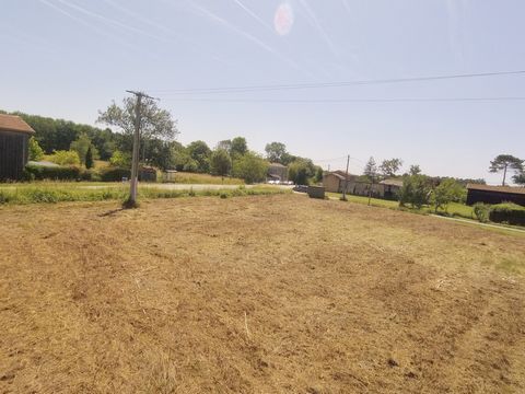 photo no. 3