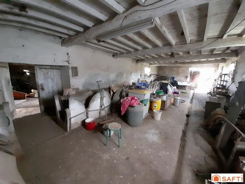 photo no. 13