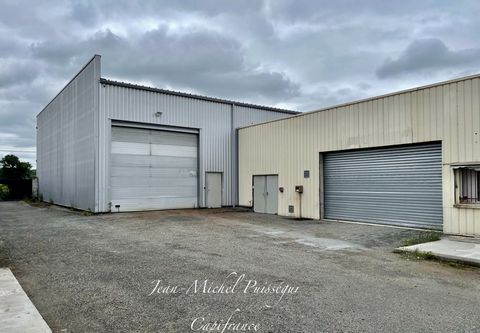 Locaux Professionnels de 2400m2 à vendre SAINT GAUDENS (31), Terrain 3800m2