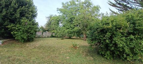 photo no. 2