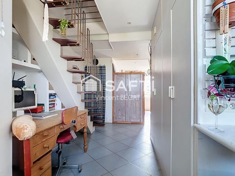 photo no. 6