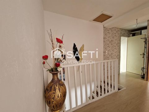 photo no. 11