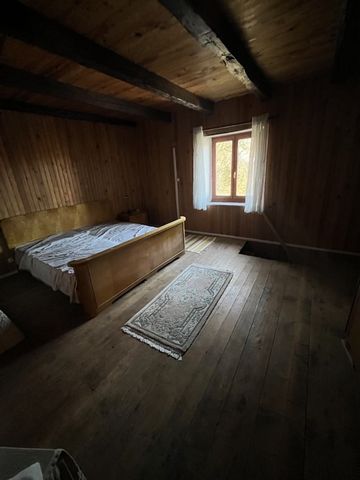 photo no. 15