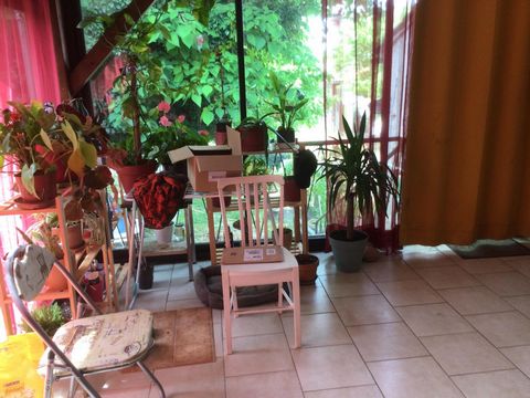 photo no. 13