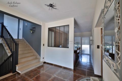 photo no. 2