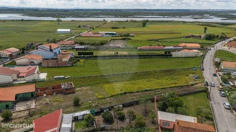 Terreno para Construção de Moradia – Murtosa | +800 m² Excelente oportunidade para construir a casa dos seus sonhos na tranquila e pitoresca vila da Murtosa! Este terreno urbano, com mais de 800 m² de área, oferece uma localização privilegiada junto ...