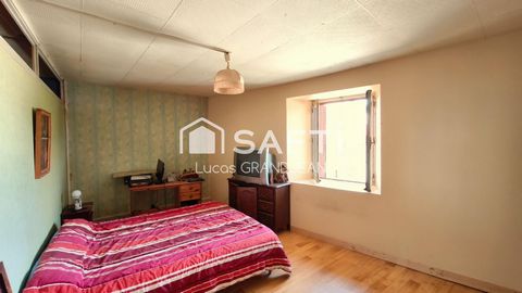 photo no. 6