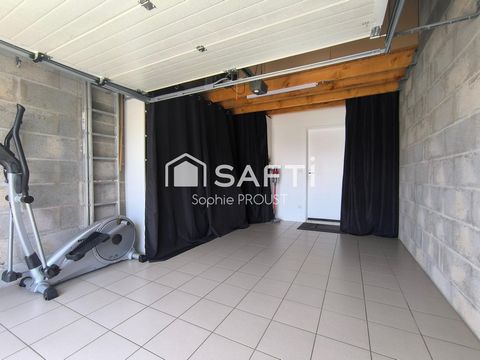 photo no. 13