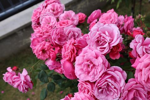 photo no. 14