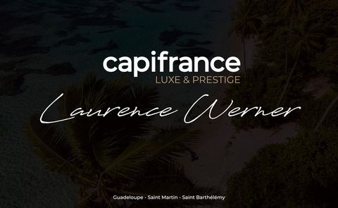RARE, LA LEZARDE, VILLA VUE MONTAGNE 3CH 3SDE + 2 STUDIOS PISCINE 1700 M² DE TERRAIN