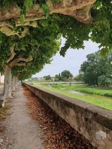 photo no. 9