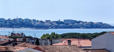 photo no. 2