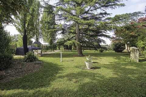 photo no. 18