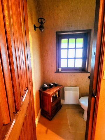 photo no. 18