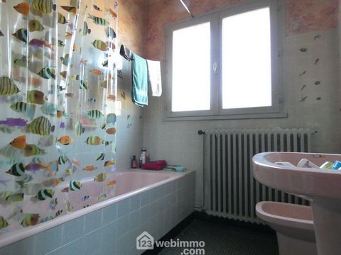 photo no. 19