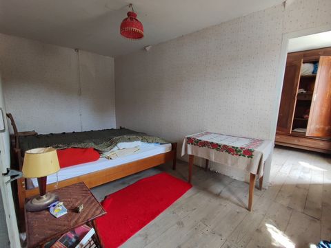 photo no. 10