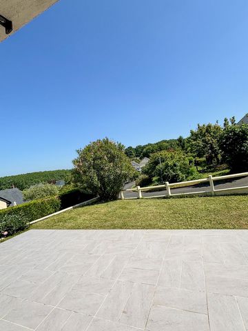 photo no. 13