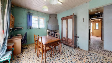 photo no. 4