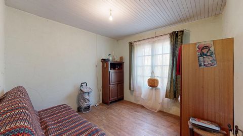 photo no. 6