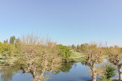 photo no. 14